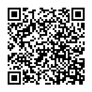 正对着门口的几个人身上更是瞬间就被插满了各种大大小小的碎木片和木刺二维码生成