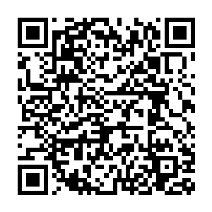 此刻这白色巨蟒的尾巴上竟然缠绕着一个长宽直径约莫在一米左右二维码生成