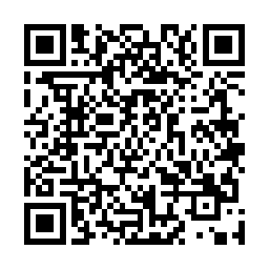 此时乍然看到墨景黎的造型实在是有些憋不住心中的笑意二维码生成