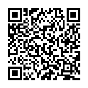 此时他们知道了许紫烟和金无敌根本就不是他们能够抵挡的二维码生成