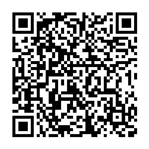 此时青玄已经从凤火舞的身上感受到了一股浓浓的凤凰一族的气息二维码生成