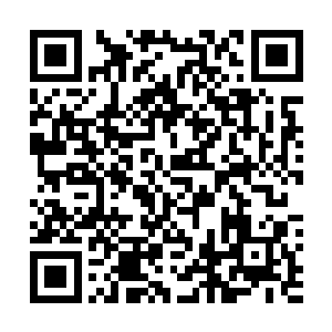 此次前一百名将有代表东域参加蛮荒大陆总会的纹师大战二维码生成