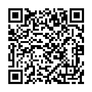 每一次天下第一行在各地的拍卖都会引起轰动的二维码生成