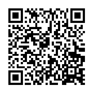 每张邀请函引发的杀戮并形成的星点会自发的聚在一起二维码生成