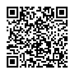 每次都与来人细细地计算当初薛表叔带他看到的东西倒底有多少二维码生成