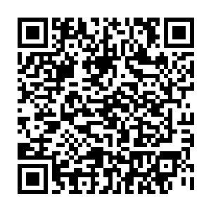 每每看到墨小宝趴在摇篮边上对着还什么都听不懂的宝宝自言自语的时候二维码生成