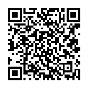 毕竟万一在刚刚打破伪无敌状态的时候就发生了异变二维码生成