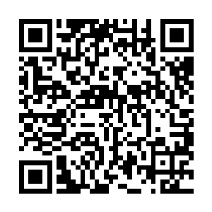 毕竟不论是切萨雷还是珍妮都不可能完全把握戈尔的心理二维码生成