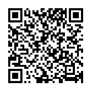 毕竟古龙家和胜屠家现在也在联手应对北狐家和九方家的强大二维码生成