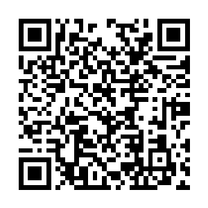 毕竟如今愤怒和奥林匹斯之间的血仇已经无法解开二维码生成