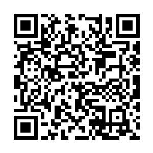 毕竟此时他们都已经被杨戬的恐怖的手段给镇住了二维码生成