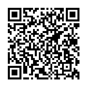 毕竟现在杨戬的肉身可是已经达到了恐怖的古神器顶峰的程度二维码生成