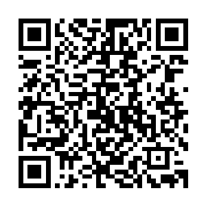 毕竟罗伯托・卡洛斯曾经在比赛中一脚远射攻破了卡恩的球门二维码生成