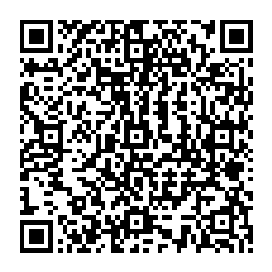 毕竟这个时候只有赋闲在家的贝尼特斯才能出任曼城的主教练……在这里我们不得不提一场比赛二维码生成