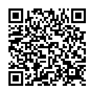 毕竟这事儿在他们发现雪如楼和流墨墨的时候就基本定了的二维码生成