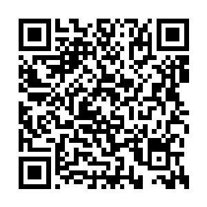 气海老祖此刻展现出来的是确确实实的八转修为二维码生成