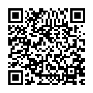 江帆交代完一些事后便意念在符咒世界通知巨神族族长巨无霸二维码生成