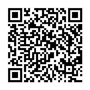 江帆在登记的时候不但登记了衣服还登记了钻戒两枚二维码生成