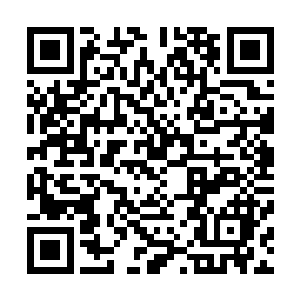 池宇给木萦安排的弟子便是他洞府外的那名叫寻止的男修了二维码生成