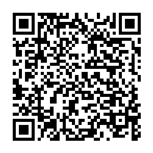 沈丽缇和杜海琼两人拿着属于自己的棉花糖人眼中满是惊讶和喜欢二维码生成