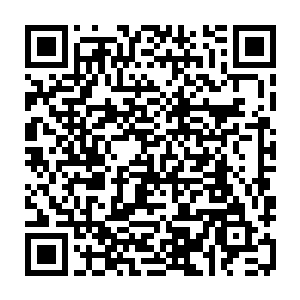 没想到这个差点找不到位置坐的家伙居然是宋州市文广宣教这条线的老大二维码生成