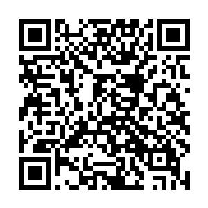 没有人胆敢和一个拥有两位以上传奇的神秘组织抗衡二维码生成