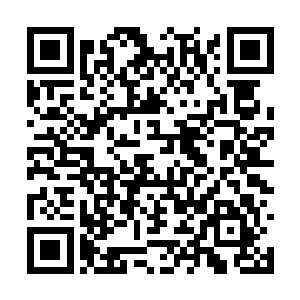 没有使用所谓的绝技秘技破坏基础格斗术的完整性二维码生成