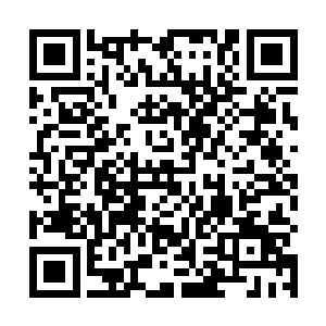 没有完全散去的冲击力让蔚文清再次忍不住后退数十米二维码生成