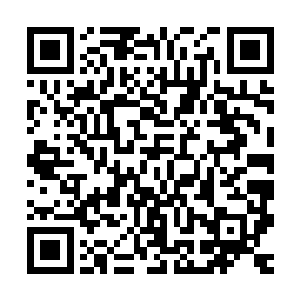 没有碰到那种伪修真界的治疗方法无法治疗修真界修真者的事情二维码生成