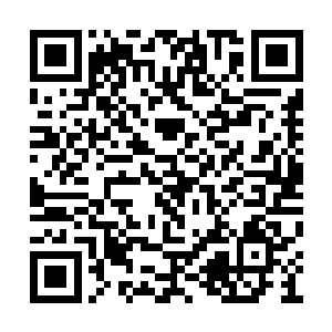 洒迭在把他们放给意柳分身盯着就没有再去管过二维码生成