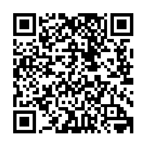 洪大力就算真是个废物估计在家族会议上也没人敢拿他怎么样二维码生成