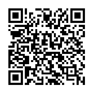流墨墨和血幽紫还能用血妖姬之力拖延住他们的速度二维码生成