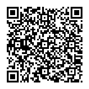 流墨墨拿出任务簿看着上面显示完成的任务和那块还没失效的红色令牌好奇的询问道二维码生成