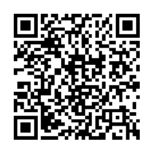 流墨墨皱眉看着水灵模糊的脸和画风完全不一样二维码生成