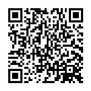 浮屠宫其实是妖神宗在千余年前便安插在岭北的一颗棋子二维码生成