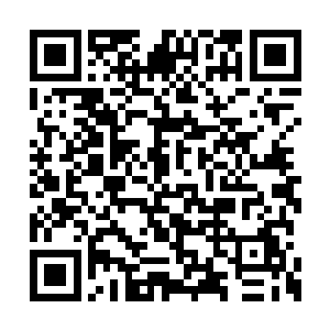 淡月白的梨花对其他人而言是杀人不眨眼的凶器二维码生成