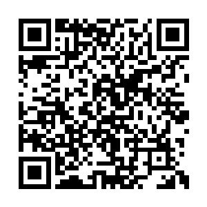 淡红血焰和流墨墨留在他们身上的血焰融为一体二维码生成