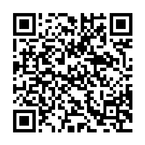 游动的鱼儿……马文基本可以确定这是那第六枚珍珠了二维码生成