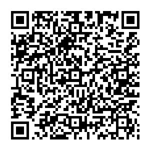 溪海集团账面上的一笔800万资金在江胜利的安排下以给付货款的名义被转到了下属一家企业的账面上二维码生成
