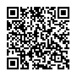 满地打滚求订阅――――――――――――――二维码生成