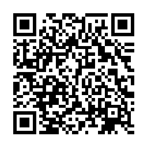 满是尘土的袍子在双肘双膝的部位早已经磨破血肉模糊了二维码生成