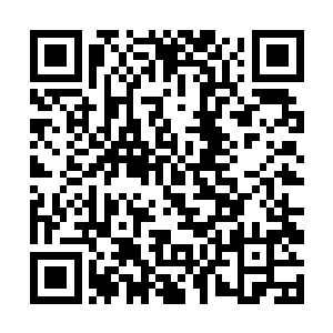 灵网渗透到了这个国家的每一根毛细血管和神经末梢二维码生成