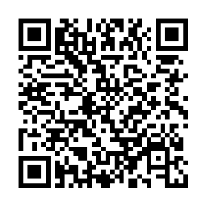 炸出一片无法用笔墨形容的璀璨花朵和绚烂漩涡二维码生成