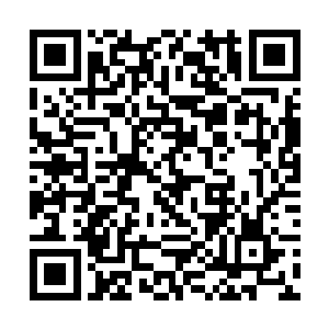 然而魂窟宗这次的队伍全数是由宗门内核心弟子组成二维码生成