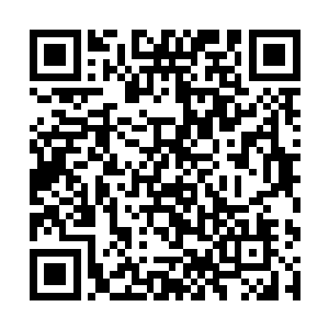 父亲应该可以基本上信任这些公式和数学模型的结果二维码生成