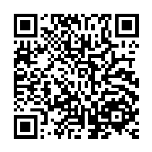 爸爸妈妈对她和卢向东的交往几乎采取了一种听之任之的态度二维码生成