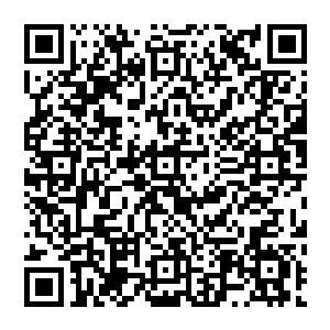 爹爹……圣公伯伯……七伯伯……百花姑姑……还有死去的所有的兄弟……你们看到了吗……二维码生成