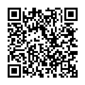 猪头混混也被带到了封闭的审讯室进行专门的审讯二维码生成