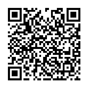 玄五宗宗主和老宗主两人也算是纵横沧溟如此多年二维码生成