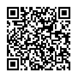 王刚感到了背后有一只无形的大手在推动这一切发生二维码生成